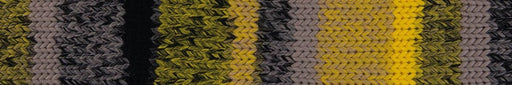 Laines du Nord Young and Trendy 1 - Yellow, taupe, grey, black Yarn Laines du Nord The Wool Queen 806812041985