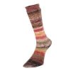 Evolution Celebration Sock Q60205 Sunrise Yarn Estelle Yarns The Wool Queen