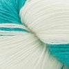 Heritage Tie Dye by Cascade Yarns Q0586-305 Mint Leaf Yarn Cascade Yarns The Wool Queen