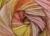 King Cole Yarns: Cottagespun DK KC274-6651 Rustic Rainbow Yarn Estelle Yarns The Wool Queen