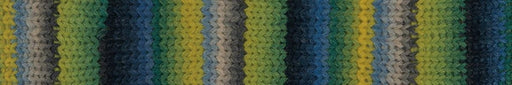 Laines du Nord Alpaca Color Super Bulky 2 Blue/Green/Yellow Yarn Laines du Nord The Wool Queen 806812042487
