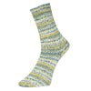 Pro Lana Yarns Bamboo Socks Green/Blue 969 Yarn Estelle Yarns The Wool Queen 4260714686815