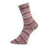 Pro Lana Yarns Bamboo Socks Two 1017 Coral, Fuchsia, Oatmeal Yarn Pro Lana The Wool Queen
