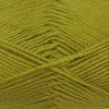 Spark DK Q80047 Wasabi Yarn Estelle Yarns The Wool Queen 621977800471