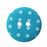 CIRQUE Novelty 2-Hole Button - Turquoise - 18mm (3⁄4″) - Polka Dots Buttons & Snaps The Wool Queen The Wool Queen 058601112820