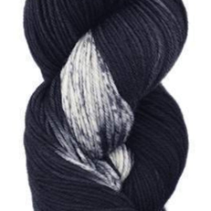Indulgence Hand Painted Fingering 02 Neo Noire Yarn Knitting Fever The Wool Queen