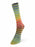 Paint Sock by Laines du Nord Denim/Yellow/Orange/Red/Celery #60 Yarn The Wool Queen The Wool Queen 806812040155