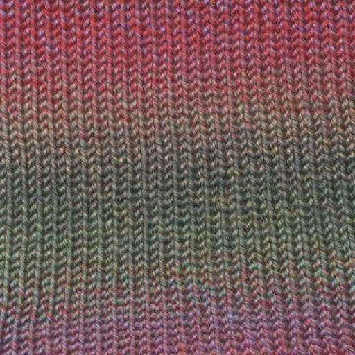 Painted Sky by Knitting Fever 208 Vermillion Yarn Knitting Fever The Wool Queen