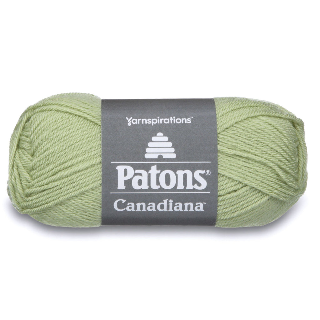 Patons Canadiana Cherished Green 10230 | Versatile Acrylic Yarn