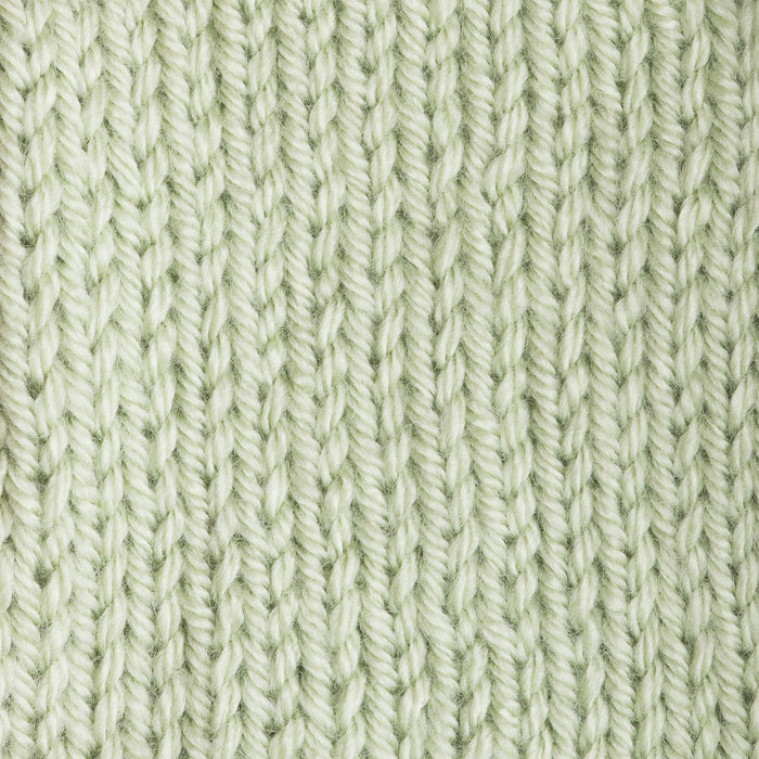Patons Canadiana Cherished Green 10230 1 Yarn Patons The Wool Queen 057355334458