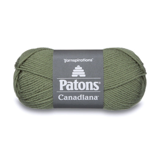 Patons Canadiana Medium Green Tea 10236 1 Yarn Patons The Wool Queen 057355334465