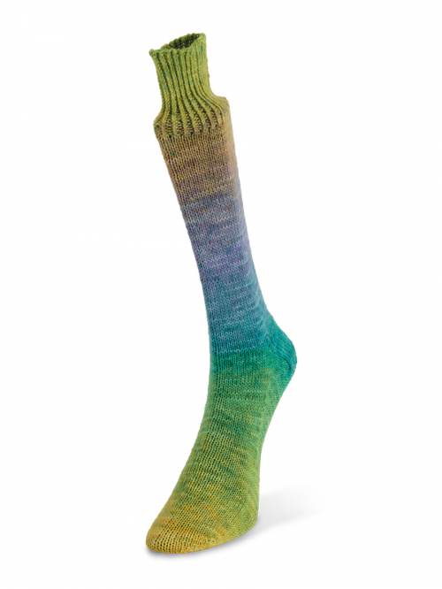 Watercolor sock by Laines du Nord #100 Brown/Blue/Green/Yellow Yarn The Wool Queen The Wool Queen